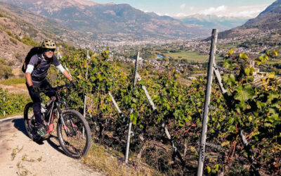 Itinerari mountain bike in Valle d’Aosta: percorsi ed esperienze adatti a tutti.