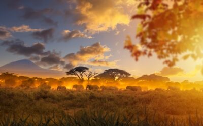 Scoprire il Kenya viaggiando in treno si può!