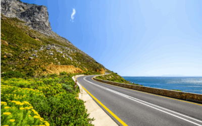 Cape Town Flower Route e safari