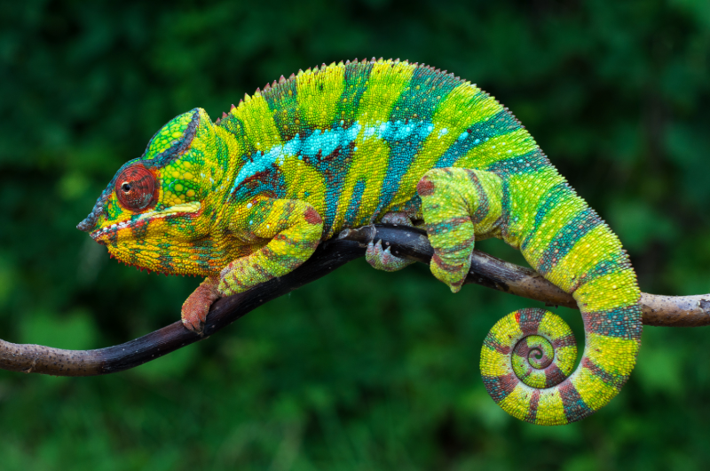 Seychelles 3 - Esperienza Turismo - ©Pmpromotion