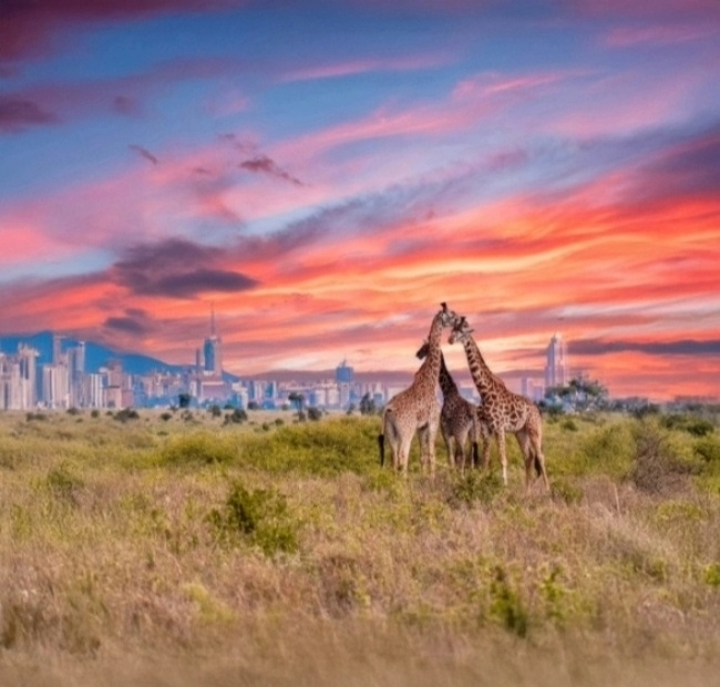 Tanzania - Esperienza Turismo - Viaggio Africa