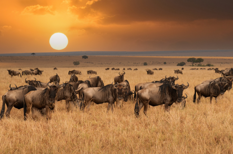 Seychelles 2 - Esperienza Turismo - ©Pmpromotion