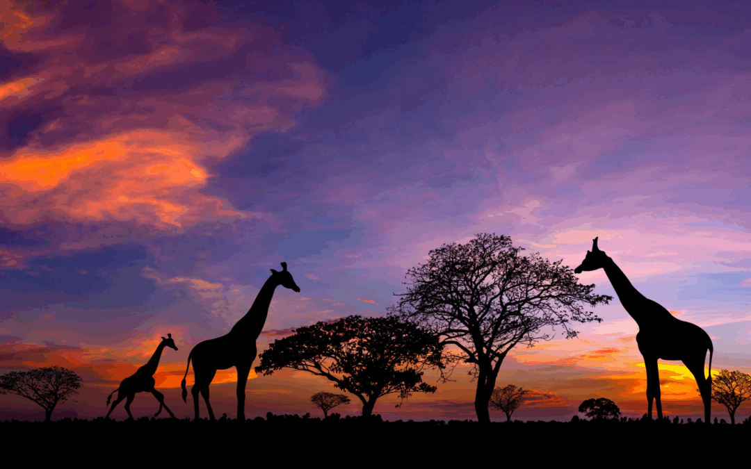 Kenya – Masai Mara e Watamu