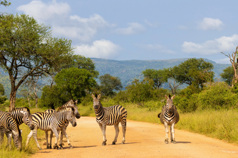 Seychelles 3 - Esperienza Turismo - ©Pmpromotion