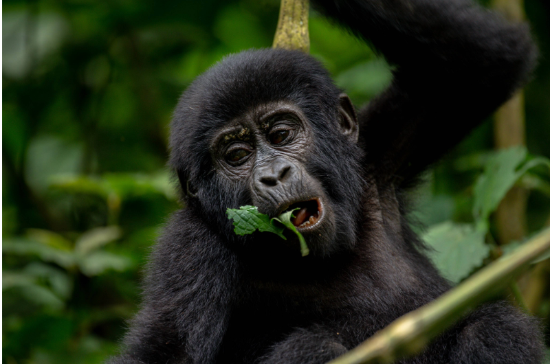 Seychelles 3 - Esperienza Turismo - ©Pmpromotion