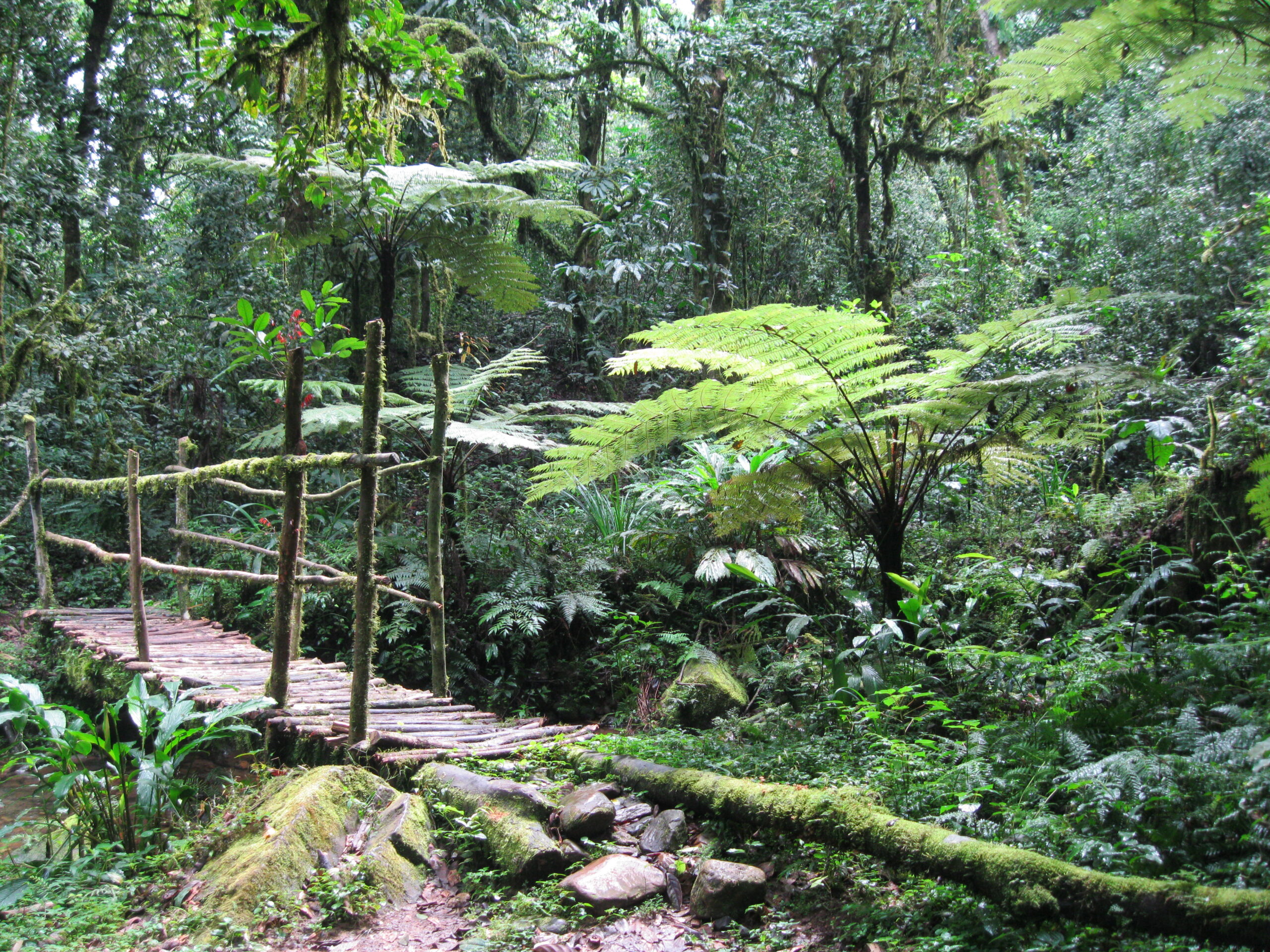 Tanzania - Esperienza Turismo - Viaggio Africa