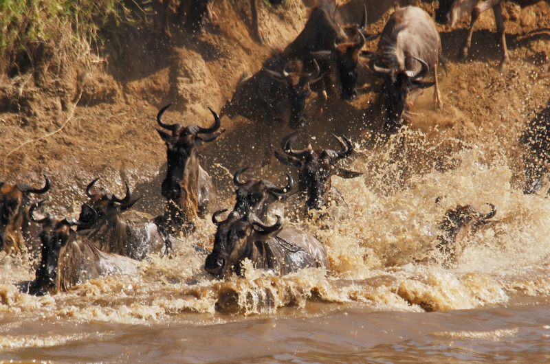 Seychelles 2 - Esperienza Turismo - ©Pmpromotion