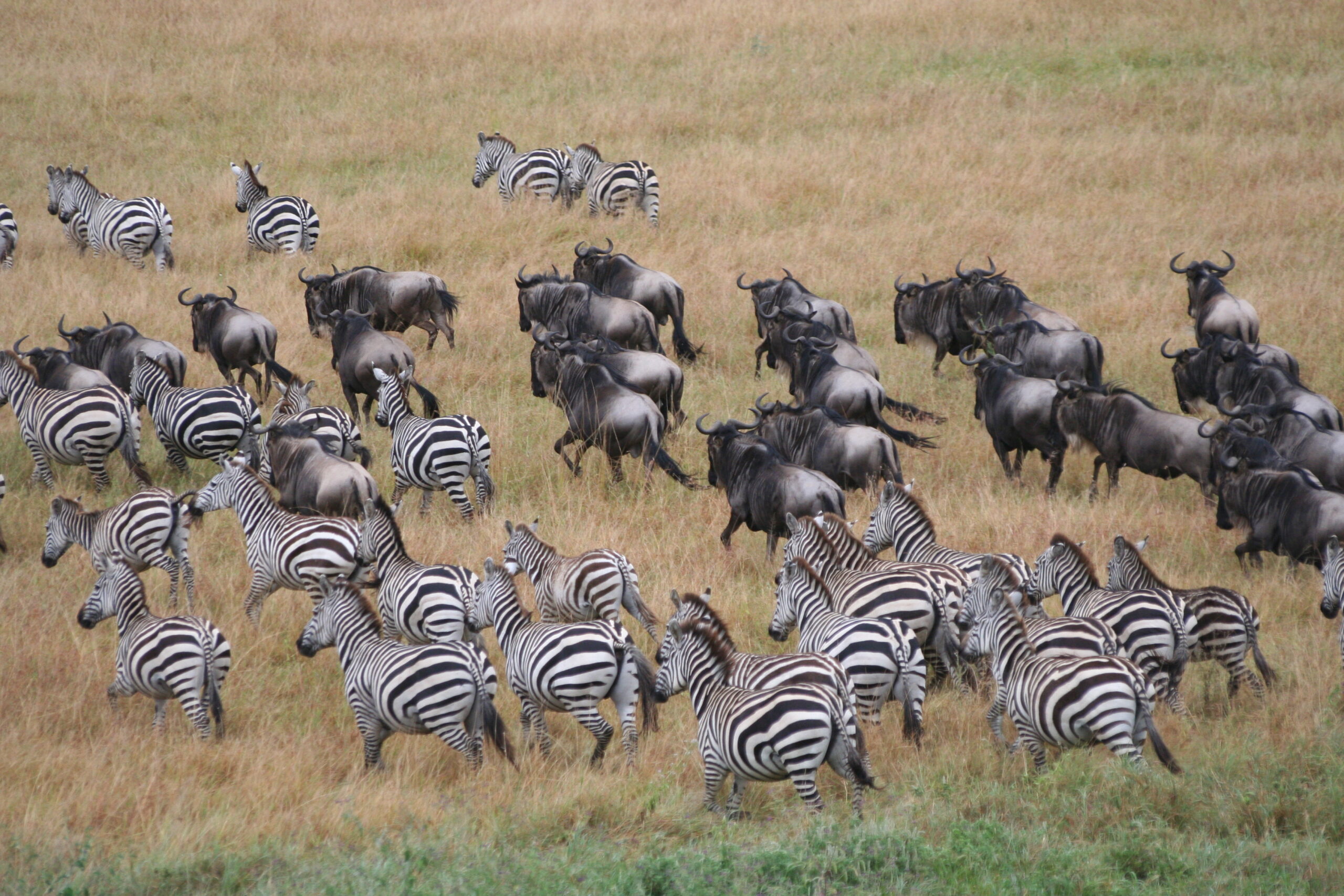 Tanzania - Esperienza Turismo - Viaggio Africa