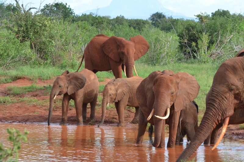 Seychelles 2 - Esperienza Turismo - ©Pmpromotion