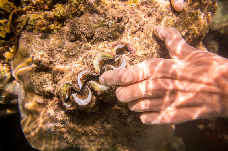 Seychelles 3 - Esperienza Turismo - ©Pmpromotion