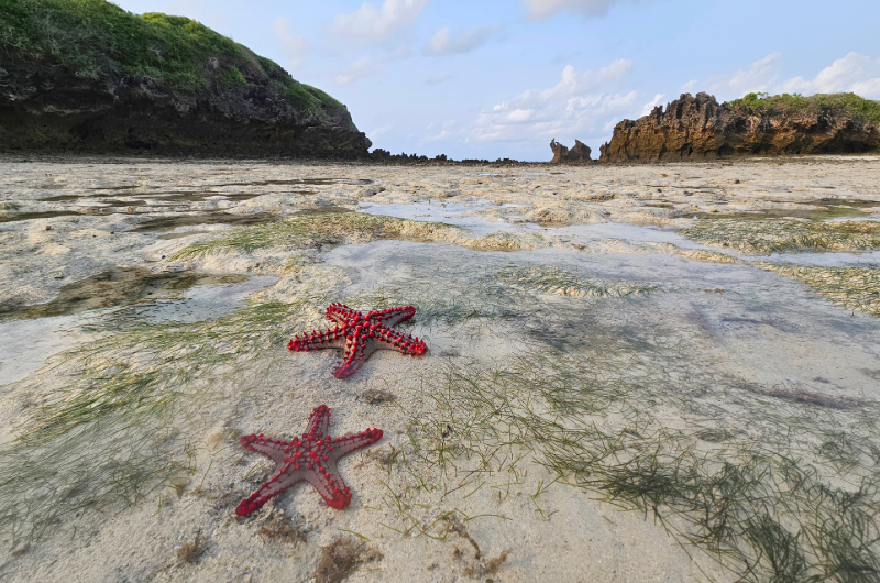 Tanzania - Esperienza Turismo - Viaggio Africa